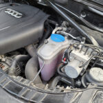 292_81c043b5-29cb-4437-ab87-d3d494ea3722